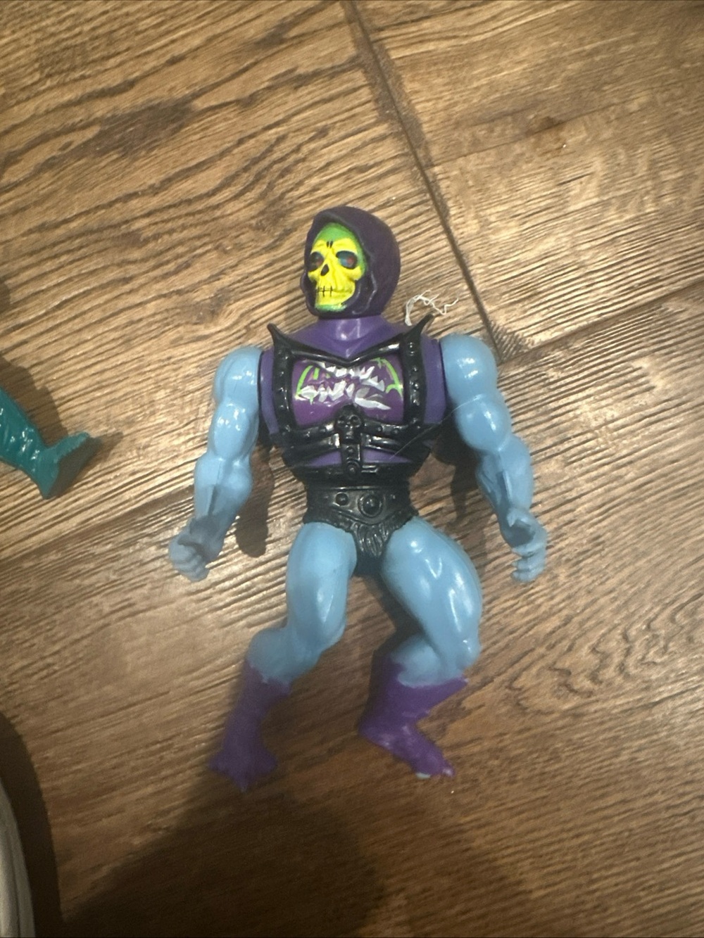 Motu - Picture 13 of 16